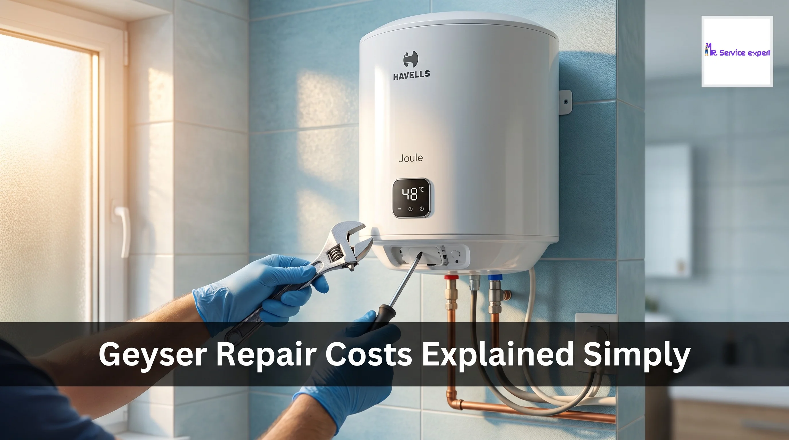 Geyser Repair Cost Guide