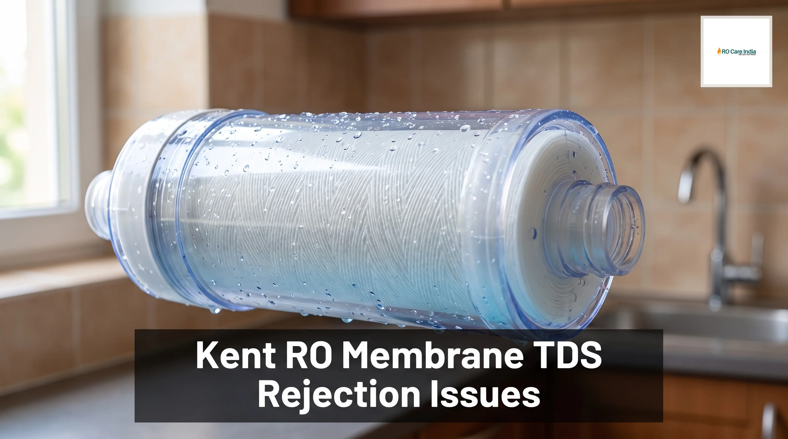 Kent RO Membrane Not Rejecting TDS in Mumbai: What to Do?